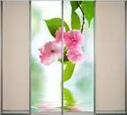 Розовый цветок, 4 двери