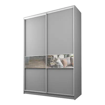 картинка Шкаф-купе 2-х дверный МАКС с зеркальной вставкой с пескоструйным рисунком от магазина КУПИ КУПЕ