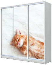 Шкаф-купе 3-х дверный с фотопечатью Котёнок спящий 2400 2014 420