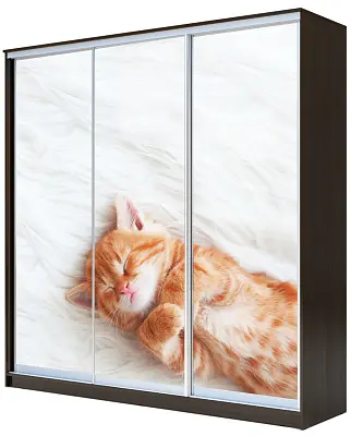 картинка Шкаф-купе 3-х дверный с фотопечатью Котёнок спящий 2300 2014 420 от магазина КУПИ КУПЕ