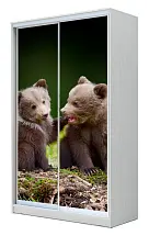 Шкаф-купе 2-х дверный с фотопечатью Медвежата