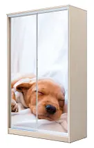 Картинка Шкаф-купе 2-х дверный с фотопечатью Щенок спящий 2200 1682 420 от интернет-магазина Купи-купе