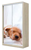 Картинка Шкаф-купе 2-х дверный с фотопечатью Щенок спящий 2200 1682 620 от интернет-магазина Купи-купе