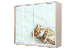 Шкаф-купе 4-х дверный с фотопечатью Котёнок