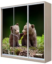 Картинка Шкаф-купе 3-х дверный с фотопечатью Медвежата от интернет-магазина Купи-купе