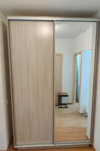 Шкаф-купе 2-х дверный ХИТ с одним зеркалом