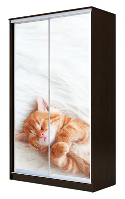 картинка Шкаф-купе 2-х дверный с фотопечатью Котёнок спящий 2400 1500 420 от магазина КУПИ КУПЕ