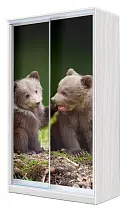 Шкаф-купе 2-х дверный с фотопечатью Медвежата