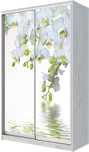 Картинка Шкаф-купе 2-х дверный с фотопечатью Белая орхидея 2200 1682 420 от интернет-магазина Купи-купе