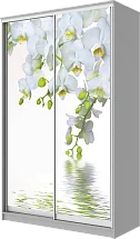 Картинка Шкаф-купе 2-х дверный с фотопечатью Белая орхидея 2200 1500 620 от интернет-магазина Купи-купе