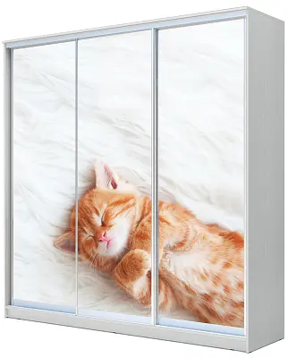 картинка Шкаф-купе 3-х дверный с фотопечатью Котёнок спящий 2200 2014 420 от магазина КУПИ КУПЕ