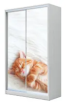 Шкаф-купе 2-х дверный с фотопечатью Котёнок спящий 2200 1500 420