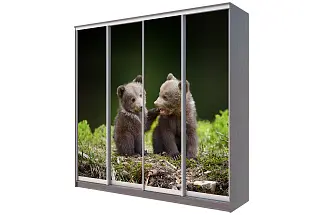Картинка Шкаф-купе 4-х дверный с фотопечатью Медвежата от интернет-магазина Купи-купе