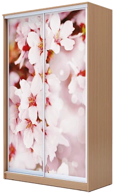 картинка Шкаф-купе 2-х дверный с фотопечатью Сакура 2400 1682 420 от магазина КУПИ КУПЕ