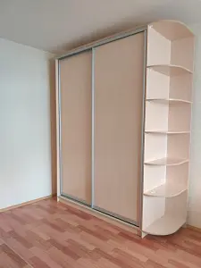 Шкаф-купе 2-х дверный 2200 1362 420