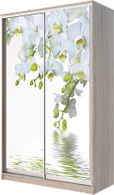 Картинка Шкаф-купе 2-х дверный с фотопечатью Белая орхидея 2200 1682 620 от интернет-магазина Купи-купе