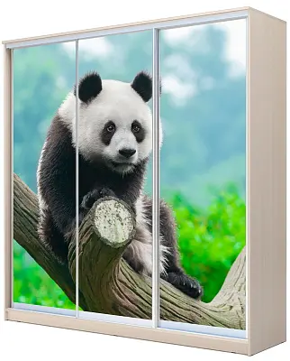 картинка Шкаф-купе 3-х дверный с фотопечатью Панда от магазина КУПИ КУПЕ