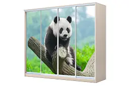 Шкаф-купе 4-х дверный с фотопечатью Панда