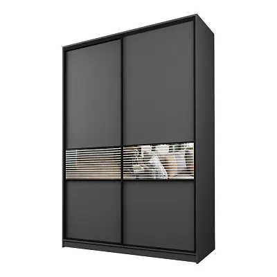 картинка Шкаф-купе 2-х дверный МАКС с зеркальной вставкой с пескоструйным рисунком от магазина КУПИ КУПЕ