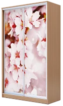 Картинка Шкаф-купе 2-х дверный с фотопечатью Сакура 2200 1682 420 от интернет-магазина Купи-купе