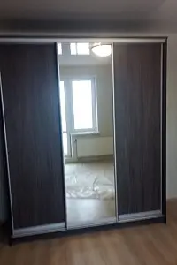 Шкаф-купе ХИТ 3-х дверный с одним зеркалом