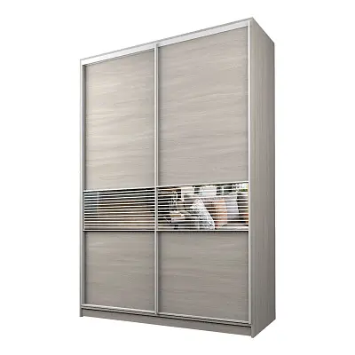 картинка Шкаф-купе 2-х дверный МАКС с зеркальной вставкой с пескоструйным рисунком от магазина КУПИ КУПЕ