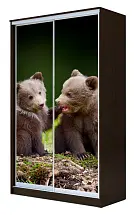 Шкаф-купе 2-х дверный с фотопечатью Медвежата