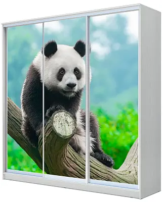 картинка Шкаф-купе 3-х дверный с фотопечатью Панда от магазина КУПИ КУПЕ