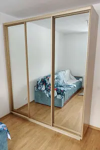 Шкаф-купе ХИТ 3-х дверный с зеркалом